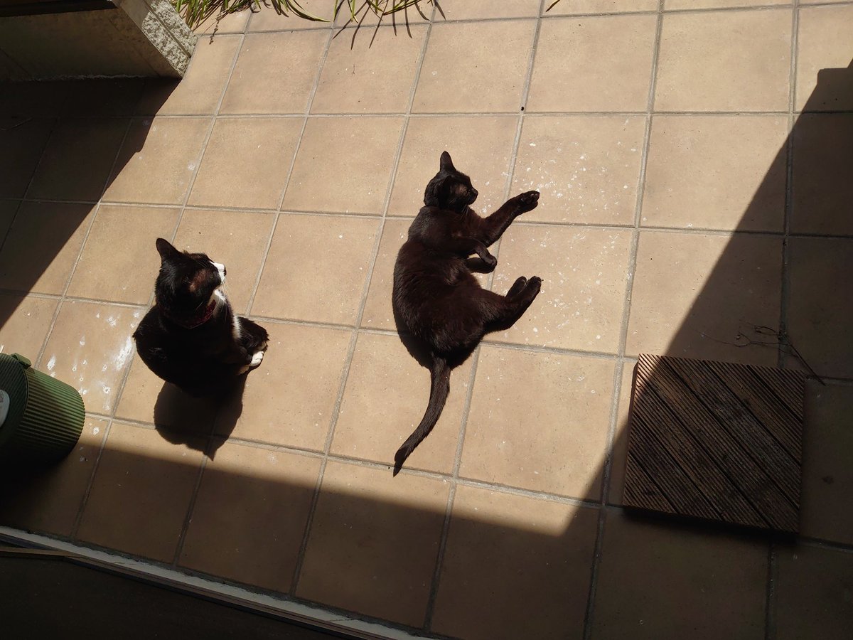 あまべ tweet media