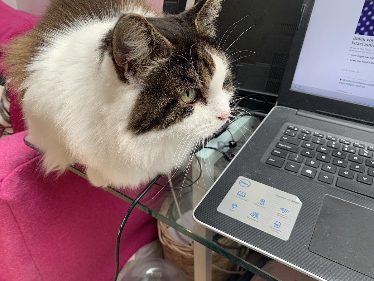 Manager Daphne is supervising my work very closely this morning