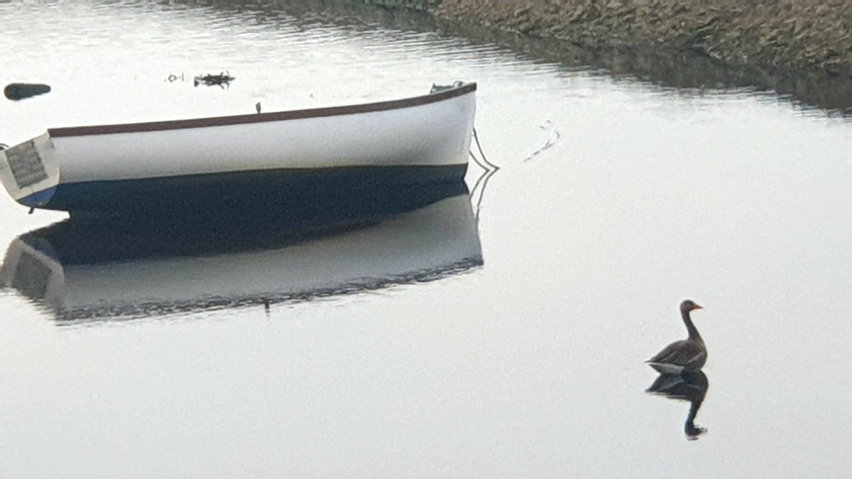 Love the shadows across the water of Lochryan today in Dumfries and Galloway Scotland. Picture by #DigitalMediaScotlandUK and Alastair Campbell.