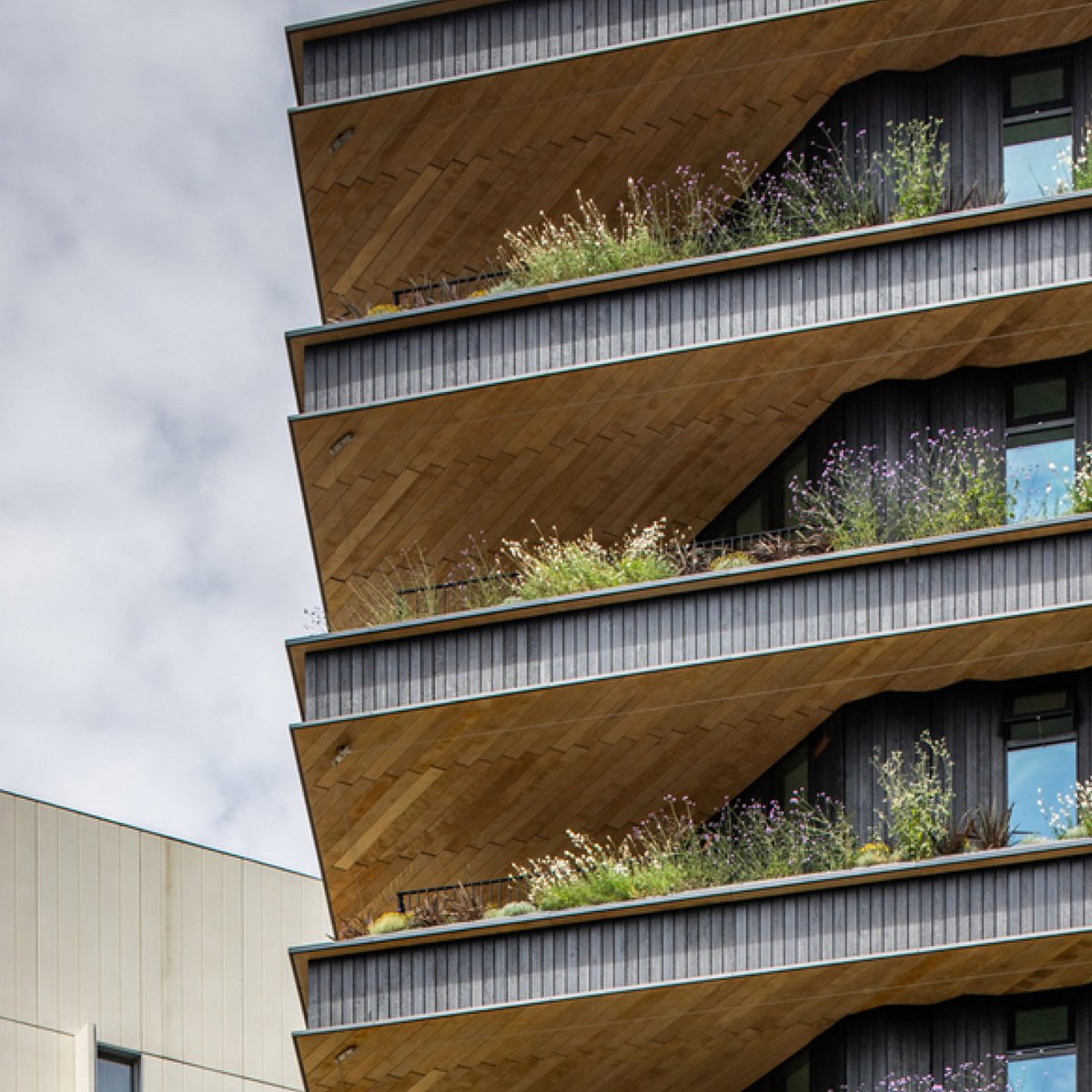 Madera carbonizada en fachada. Oficinas Entegra en Barcelona por Batlle i Roig. Más detalles en este enlace… #espaciosenmadera #grupogubia 

espaciosdemadera.blogspot.com/2024/04/fachad…

#fachadasdemadera #revestimientos #maderacarbonizada #barcelona #innovacion