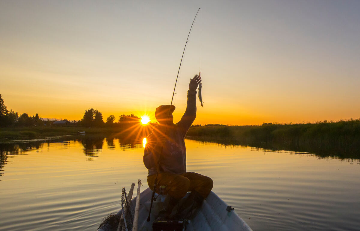 🎣フィンランドは釣り好きにもおすすめの旅先です。夏なら真夜中の太陽の下で釣りをしてみるなんてこともできます。フィンランドでの釣りについて詳しくは、fishinginfinland.fi/river_tenoで。
📸©MarkoRautaparta, Visit Levi #VisitFinland #釣り