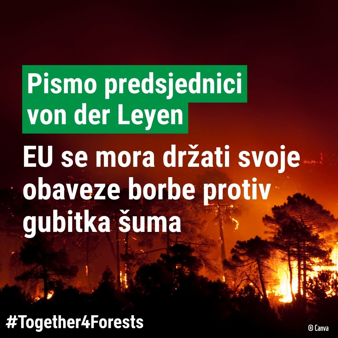 🚨Povijesno važan EU zakon protiv krčenja šuma podrivaju neke industrijske grupacije i EU vlade! Pozivamo predsjednicu @vonderleyen da ispuni svoje obećanje o Europi kao globalnom lideru borbe protiv deforestacije Pismo koalicije #Together4Forest together4forests.eu/news-resources…