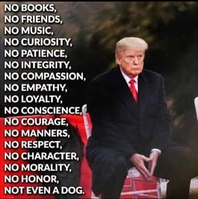 . Hey MAGAts, Trumpster and Republicans, THIS is Donald Trump ! 💠 🧐 💠