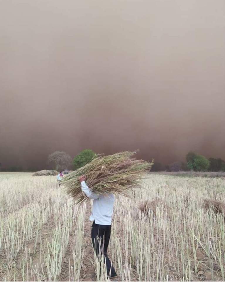 कोई कह दे इन बादलों से जरा अदब से पेश आयें
मेरे देश के किसान का सोना खेतो में पड़ा हुआ है

#बेमौसम #बरसात #agriculture #farming #Farmers #VillaGesell