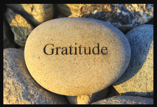 carloslisandro's tweet photo. "Cultivating Gratitude"ings and express gratitude for the people and experiences that enrich your life.
Gratitude is a powerful practice that can transform your outlook on life. By focusing on the things you're thankful for, you can shift your perspective from scarcity to abundance. Cultivating gratitude can help you appreciate the little things, foster resilience in the face of challenges, and improve your overall happiness and well-being. Take time each day to count your bless