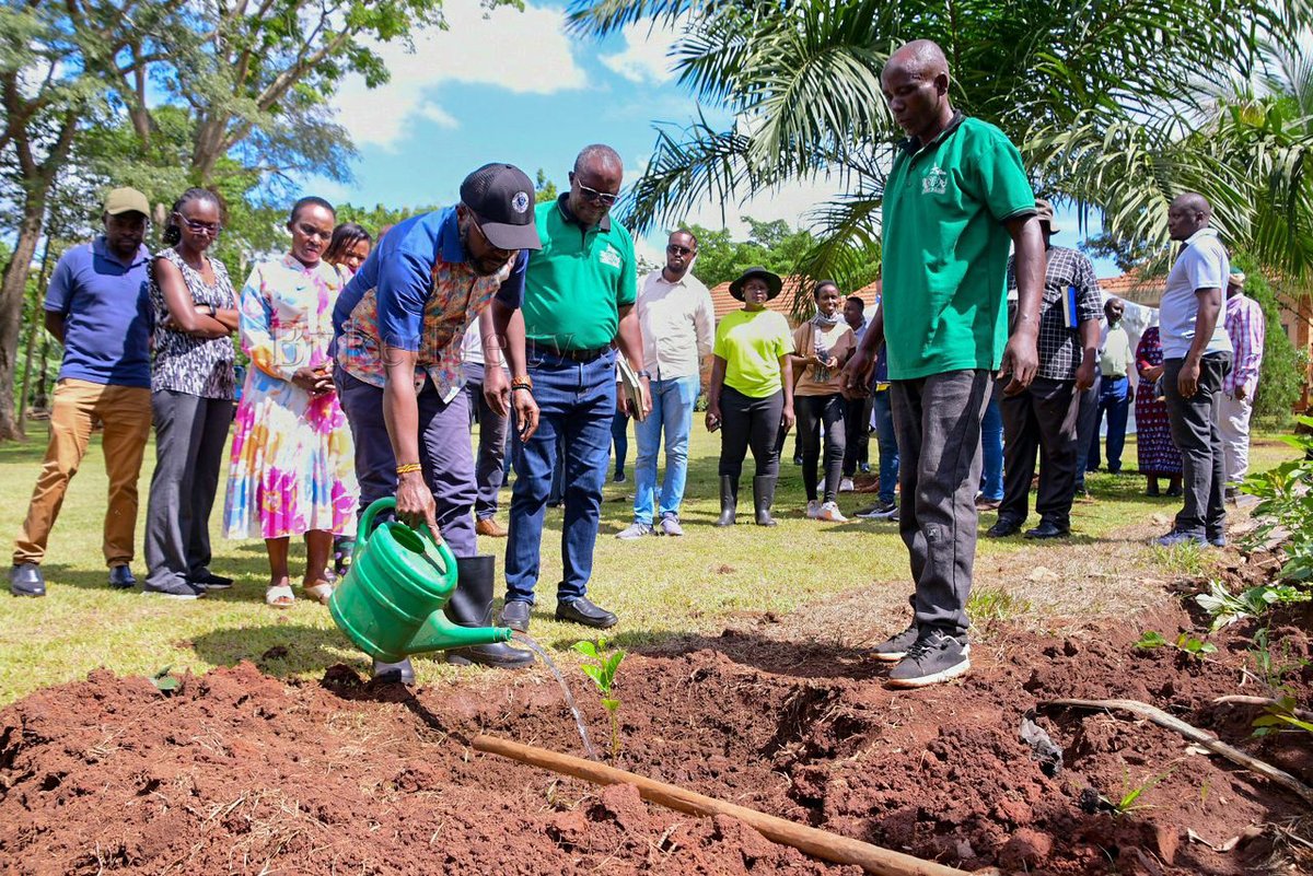 Ng'akabonero ak'okukuuma obutonde.  CEO wa Vision Group Don Wannyama asimbye Omuti. #OmulimiAsinga 2024 
#HarvestMoney 
@NLinUganda
 @dfcugroup
 @KLM