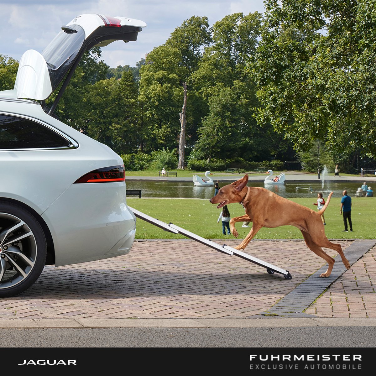 Glauben Sie auch, dass Ihr treuer Vierbeiner und Ihr eleganter Jaguar das perfekte Match sind? 🤝 Dann haben wir genau das Richtige für Sie! 

Verbinden Sie Stil und Komfort mit dem Jaguar Original Hundezubehör. Entworfen im Jaguar Design und mit Rücksicht auf Tierwohl. 🐶