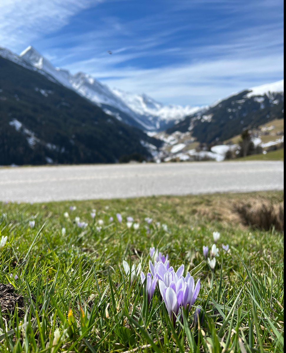 Hoch die Hände 𝐖𝐎𝐂𝐇𝐄𝐍𝐄𝐍𝐃𝐄 🥳✨⁠
Am Berg herrschen ideale Bedingungen beim Sonnenskilauf, während im Tal der Frühling erwacht ... 🌷🙌⁠
