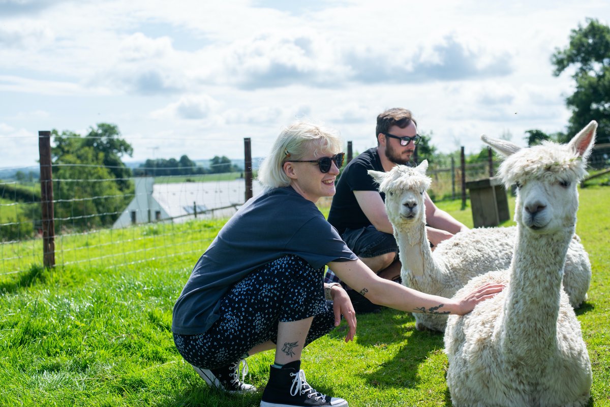 Did you know, a herd of prize-winning alpacas calls the glorious Glaslough countryside home? A 'meet and greet' experience at @GlasloughAlpaca provides plenty of photo opps 📷✨ #MyMonaghan #moretomonaghan #keepdiscovering