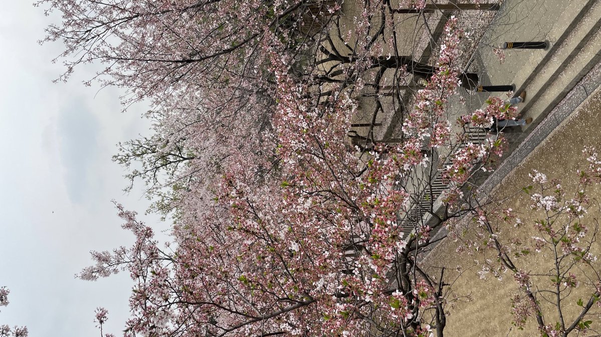 서울숲 좋네요..