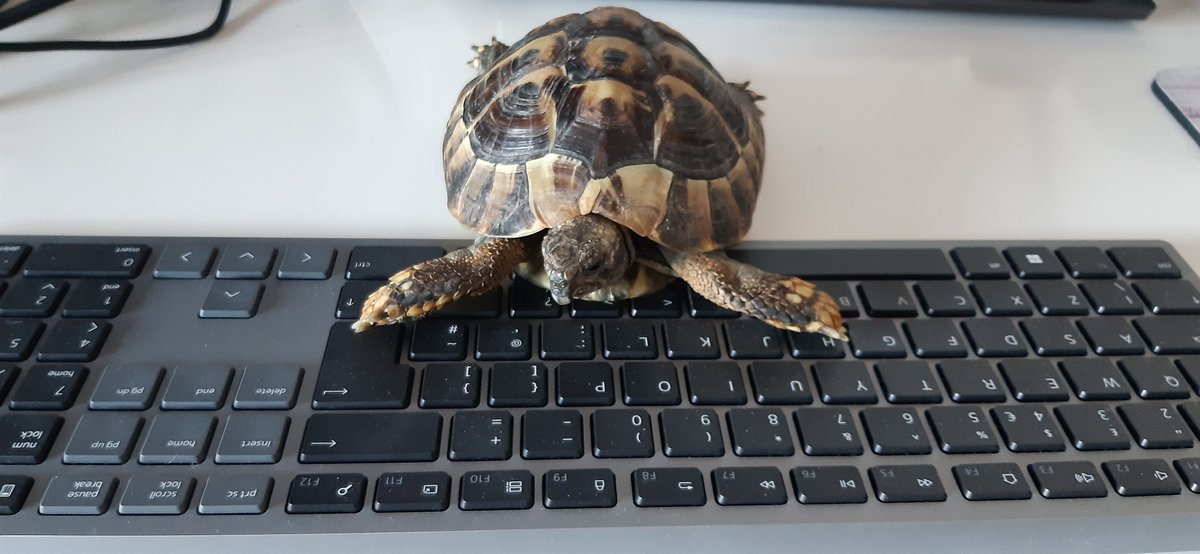 The Intelogy Team tweet media