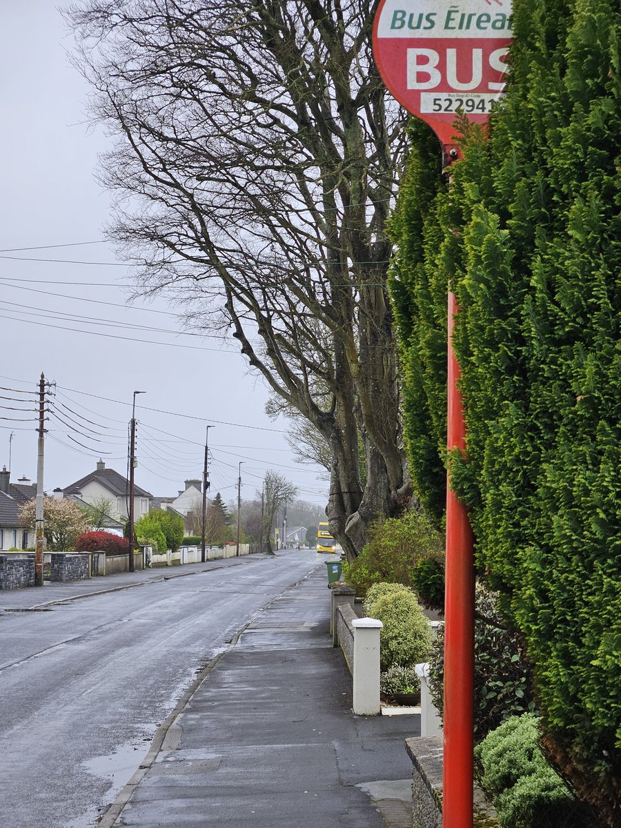 Flashback of waiting in the rain for the bus to school 😆🌧

15 years later... you would think every stop or second stop would have a shelter or a bench and a timetable 🤷 #galway
