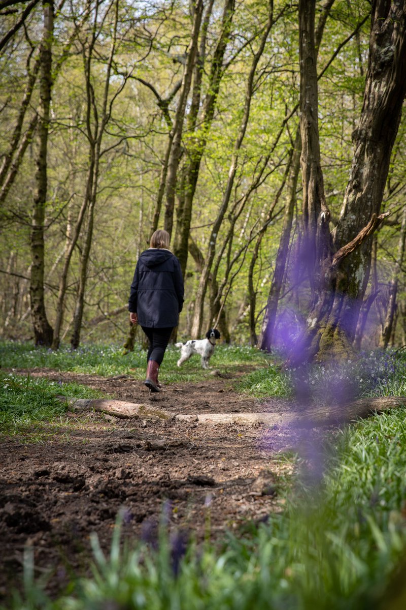 This National Pet Day, why not book a dog friendly walk? 🐶🐾Start in picturesque Hellingly and pass through farmland, woodland and along the chalk ridges of the South Downs to Chiddingly all accompanied by your four-legged canine companion! To book: shorturl.at/eipO6