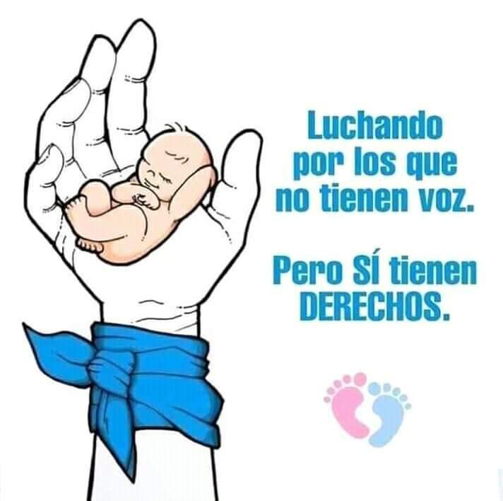 Mucho palabrerío pero el Genocidio continúa en Argentina. Cientos de miles de seres humanos masacrados por el Estado antes de poder nacer.