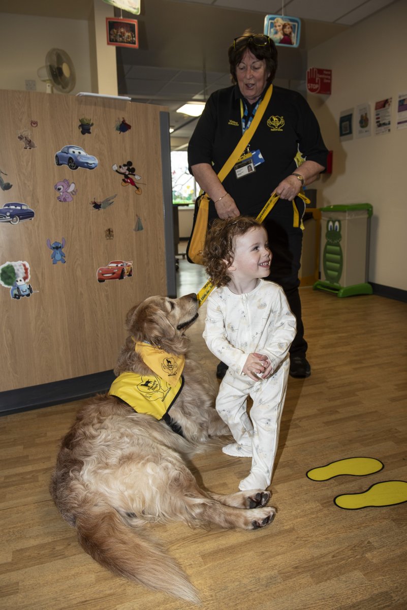 🐾 Spartacus the therapy dog brought sunshine and smiles to WUTHs Children’s Ward to celebrate #nationalpetday. Accompanied by his devoted handler, Eileen Slattery, the caring canine interacted with patients and staff alike, brightening their day. 🐶 #therapydogs