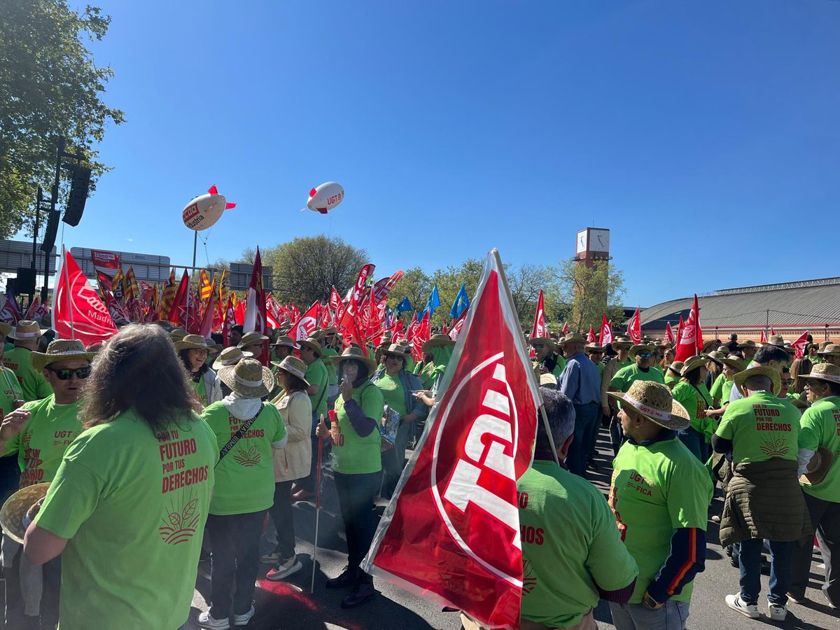 👩‍🌾Trabajadoras y trabajadores del campo están concentrados ante el Ministerio de Agricultura #Madrid 📢Convocados por UGT FICA y CCOO de Industria, exigen al ministro @LuisPlanas un sector agrario digno y con futuro.