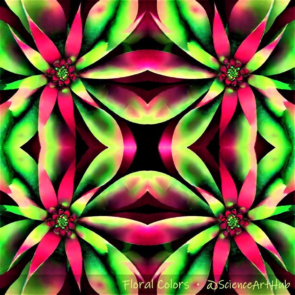 Floral Colors: The Science &amp; Art of Flower Shades.
Why do Flowers Have Different Colors?
#sciart #flowers #scicomm #chemistry #science #education
The color of flowers is determined by the presence of various pigments. Their major types include anthocyanins, carotenoids, and