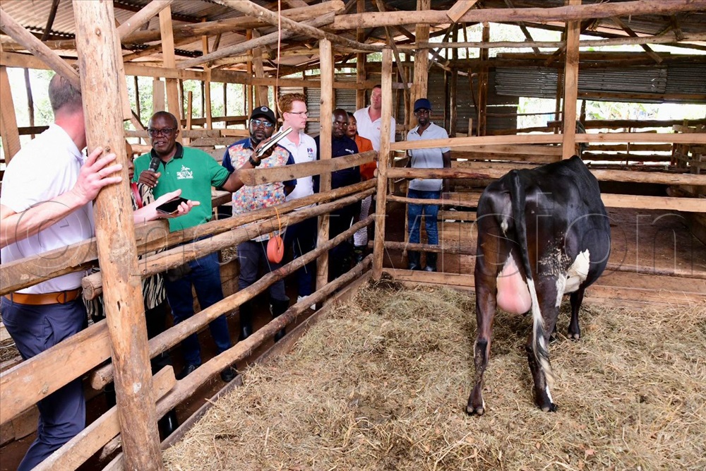 'All the winners of the 10 sub-regions for the #BestFarmersCompetition 2024 will need to demonstrate the concept of value addition to their products on the farm and also visibly what they sell on the market. We are doing this so that we answer the challenges that have risen…