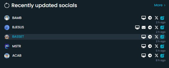 Basset Hound tweet media