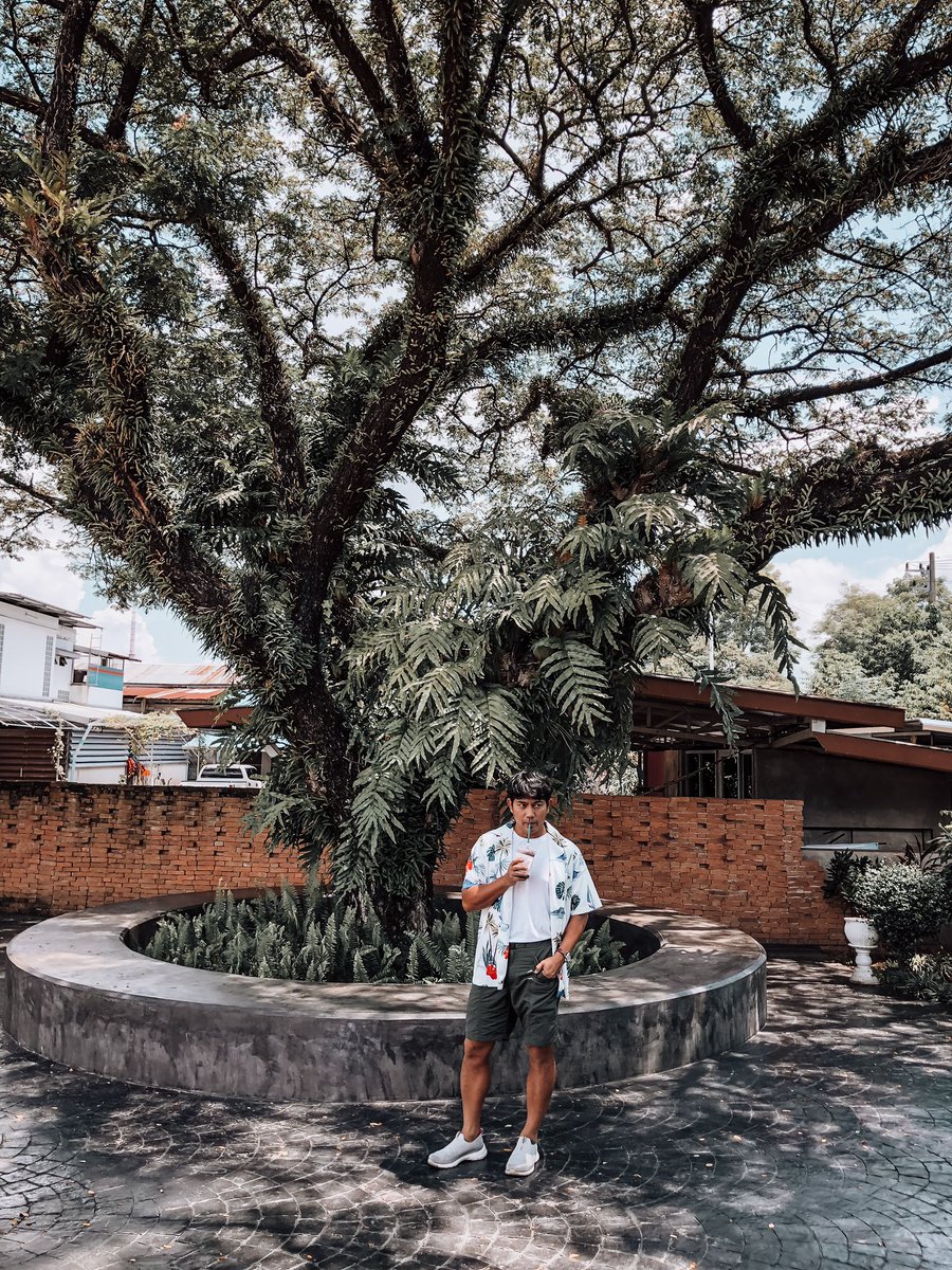 🌲แค่ร่มเงาอันน้อยนิด.. ก็ช่วยบรรเทาชีวิตได้  #ต้นไม้  #ร่มเงา  #สุข