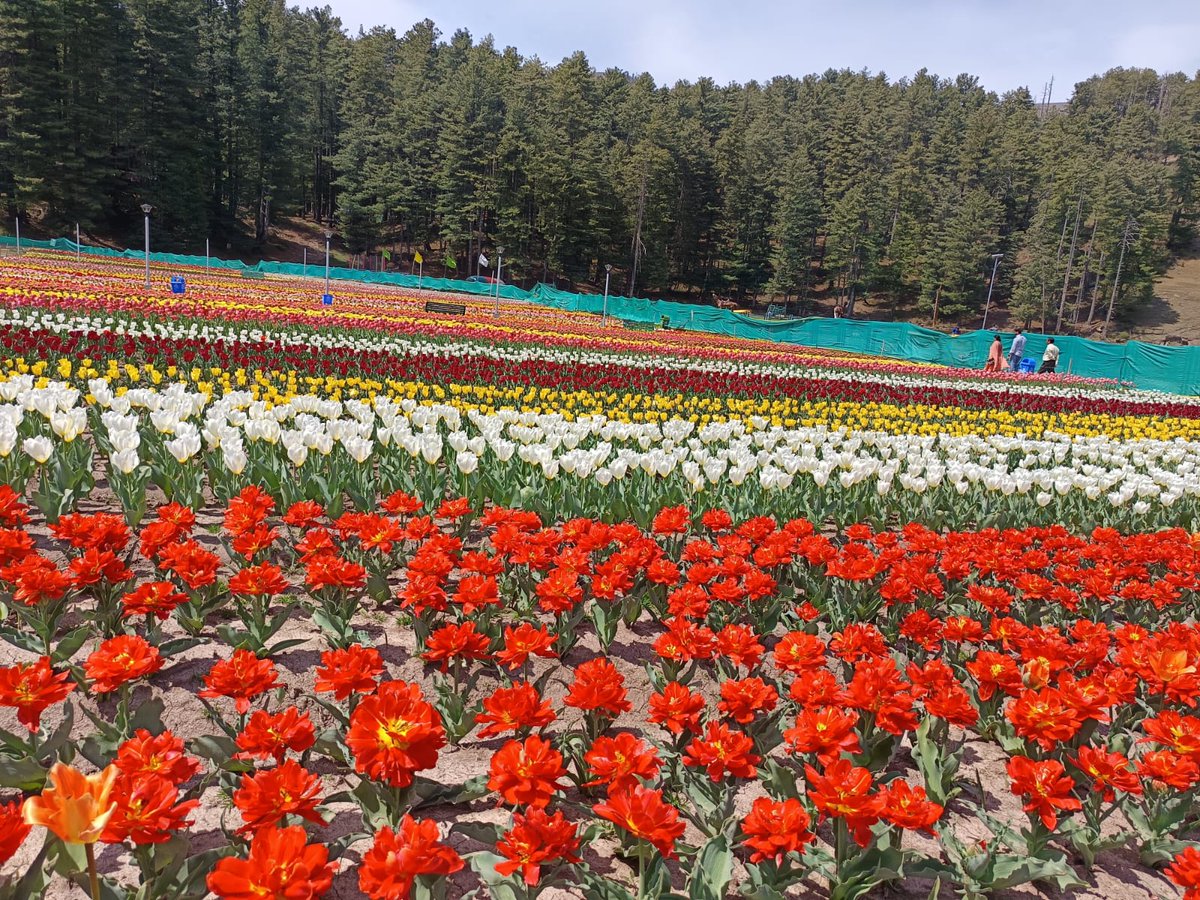 Deputy Commissioner (DEO), Ramban tweet media