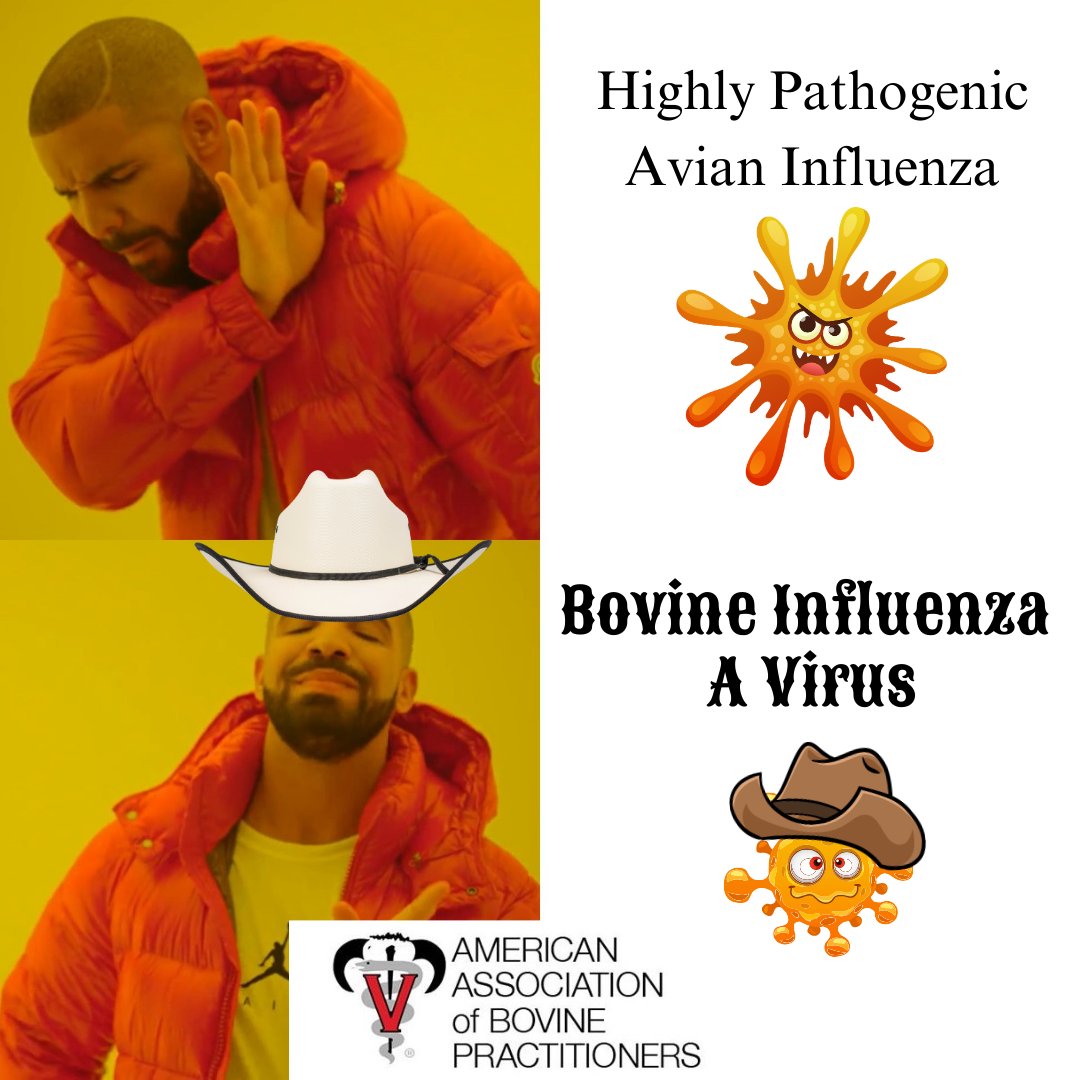 The American Association of Bovine Practitioners:

'Maintaining consumer confidence' isn't necessarily part of our veterinary oath, but our stakeholders think it should be...

#onehealth #vetmed #vettwitter #hpai #h5n1 #BIAV #avianinfluenza #veterinarian #animalwelfare…