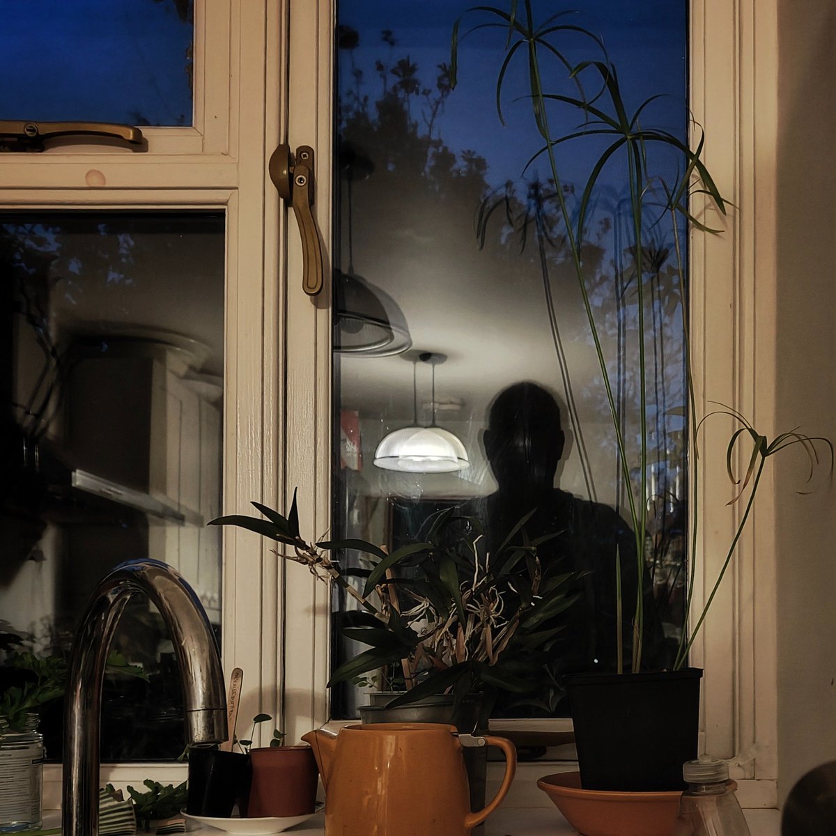 Morning Kitchen Window with Self-portrait 
#Gallery365in2024FaceTheDay