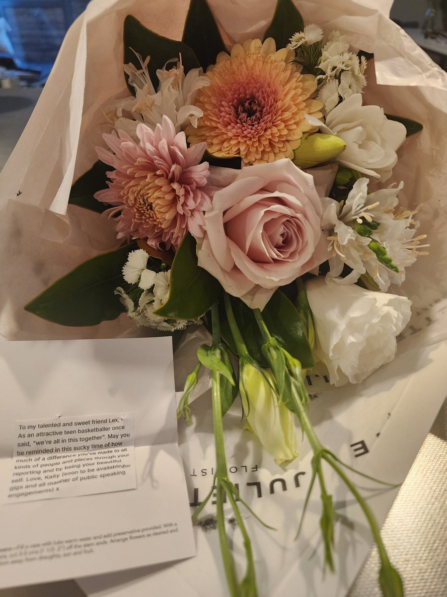 Alexa Cook tweet media