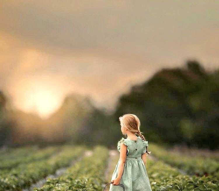 الشروق ليس للشمس فقط تذكر أن أحلامك وامالك وطموحك كلها ســ تشرق يوما ما

صباح الامل