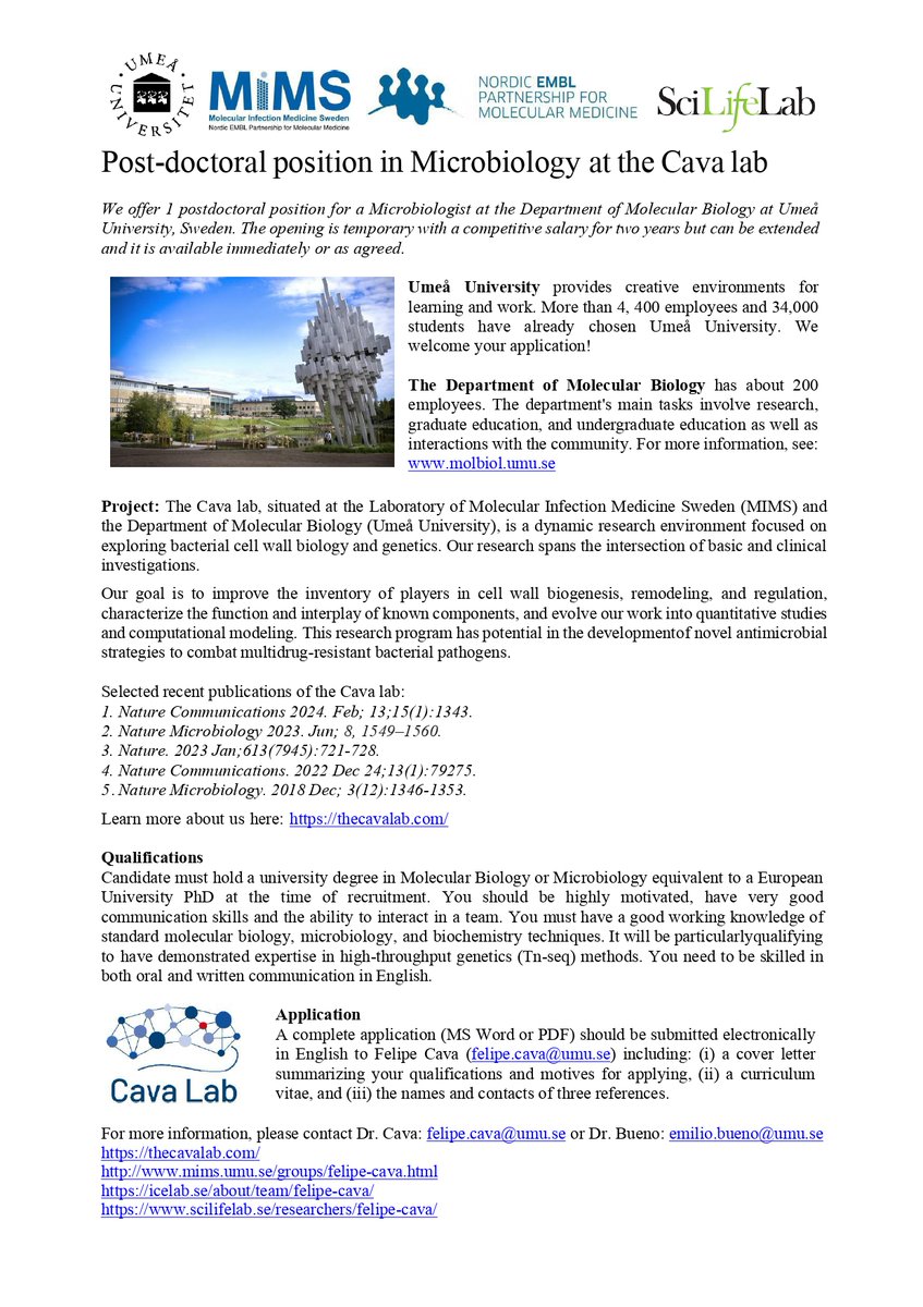 The Cava lab is hiring!! Two new positions are available in our interdisciplinary group located in the north of Sweden @mims_umea @UmeaUniversity If you are passionate about science then it is time to apply! Looking forward to your application! 🙂