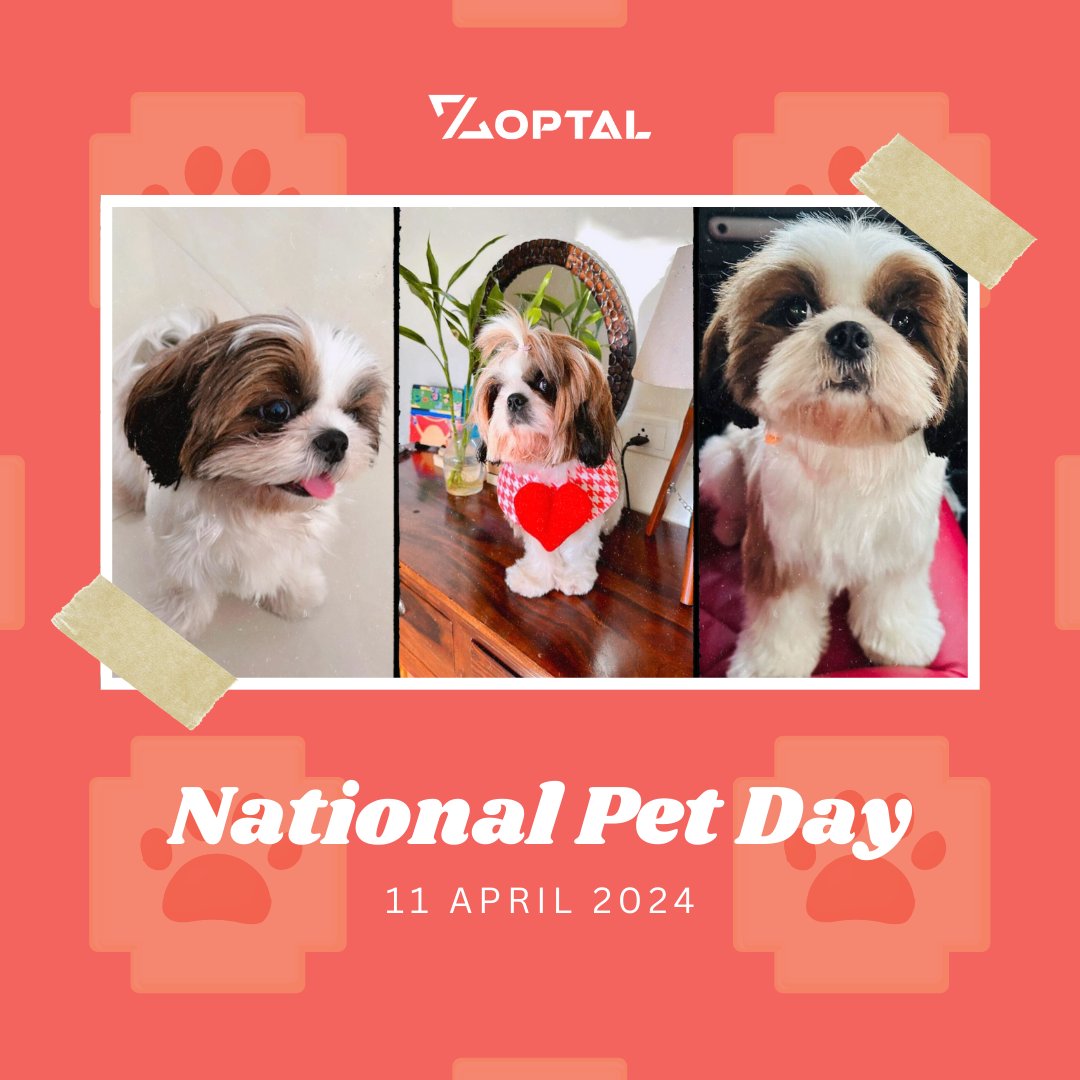 🐾 Happy National Pet Day🐾 #2024 #Zoptal
.
.
#FurryFriends #NationalPetDay #pets #petsday2024 #photooftheday #lovepets #lovepetsforever #petsloveus #petsloversclub #BestFriends #NationalPetDay2024