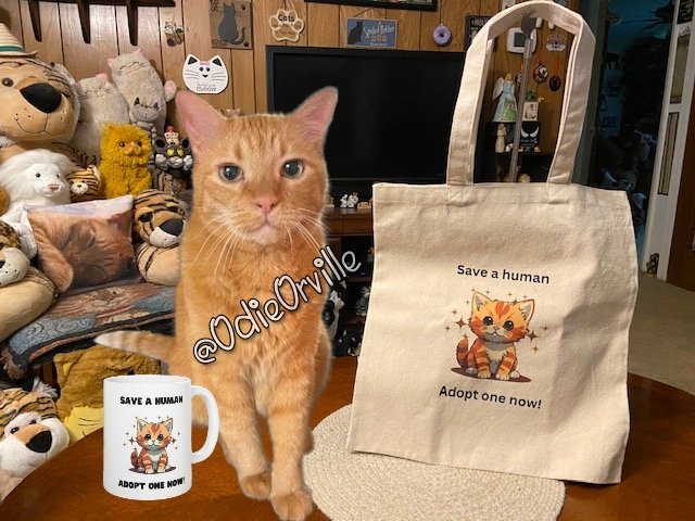 Hey everyone! Do y'all know Cheeto and Blaze @cheetoandblaze ? Their mom has an Etsy shop called CatsAreAwesomeSauce. Look at this cute stuff we got! 😻 Apr. 11-14, she's running a 20% off all items sale for all my friends! Use this link to check it out: catsareawesomesauce.etsy.com/?coupon=ODIERO…