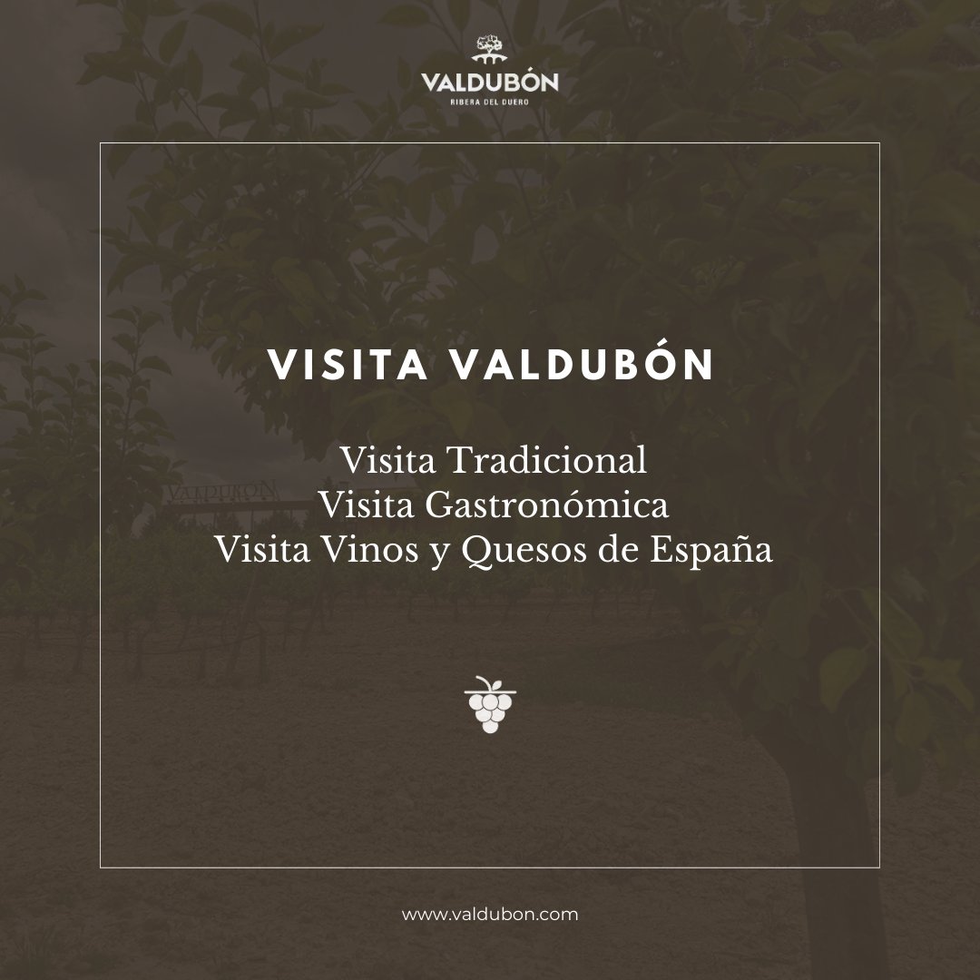 ¿Con cuál te quedas tu?

🍇 VISITA TRADICIONAL
🍴 VISITA GASTRONÓMICA
🧀 VISITA VINOS Y QUESOS DE ESPAÑA

🍷⁠ Somos la bodega más cercana en coche desde Madrid 🚗
👉🏻 visitas.ferrerwines.com/visitas-valdub…

***⁠ 
❗WINE IN MODERATION "El vino solo se disfruta con moderación"⁠