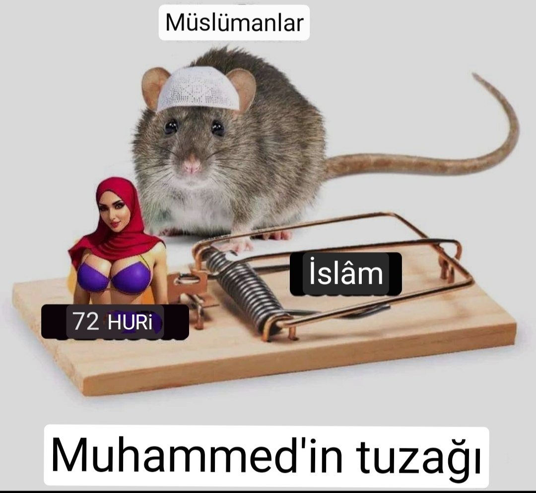 Şu kapandan kurtulmanın tek yolu: Bir süre Temel Bilim, modern, Science's Bilimsel kitapları (Fizik, kimya, biyoloji) okumak. Biz başardık, siz de yapabilirsiniz. 💯✅🤔👍😊 #AteistSoylemler