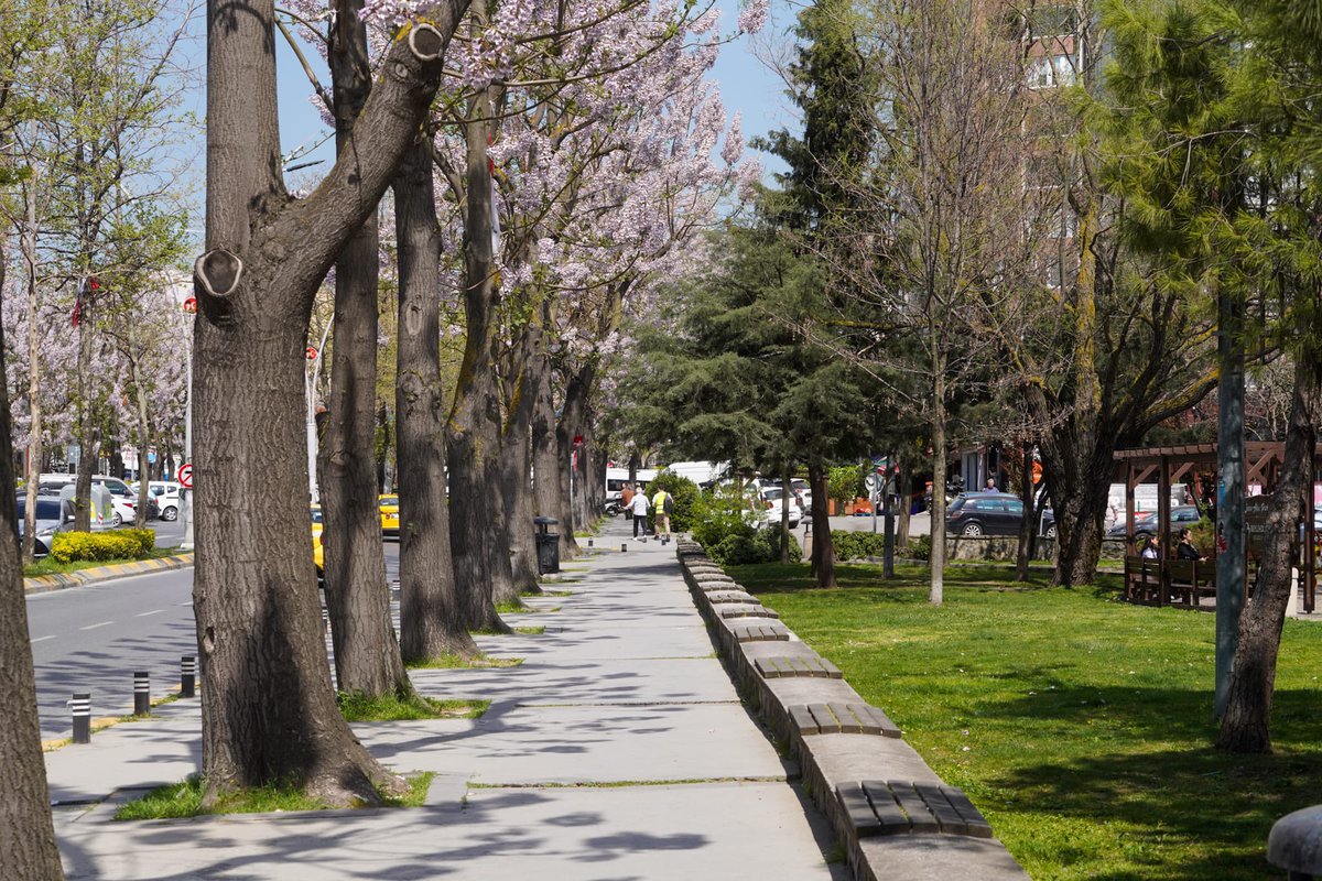 #GünaydınBeylikdüzü 🌳 Tüm komşularıma huzurlu ve keyifli bir gün diliyorum.