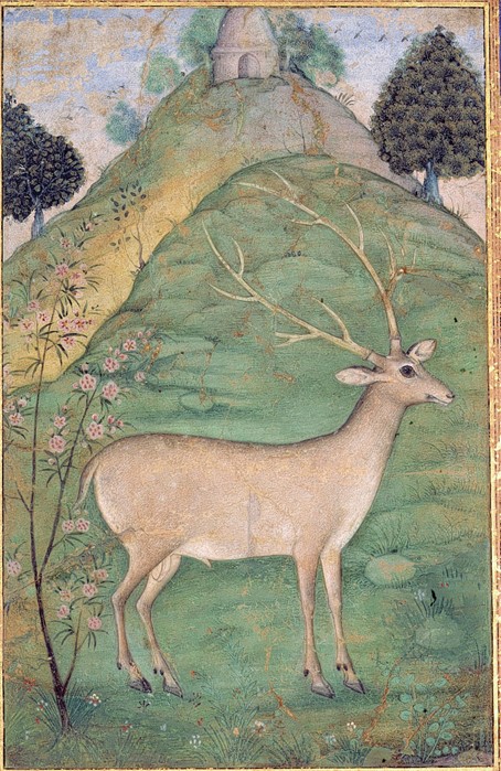 Sometimes, you just feel like having a quiet moment ~ so here’s a watercolour painting of a contented deer standing in the countryside, next to a bush with pink flowers (Album page, Uttar Pradesh, 1595) collection.sdmart.org/objects-1/info…