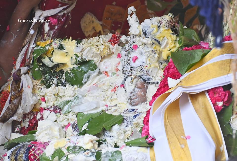 Sri Vidhya Rajagopala,  Mannargudi. Panguni Brahmotsavam- Day 16 , Vennaithazhi utsavam.