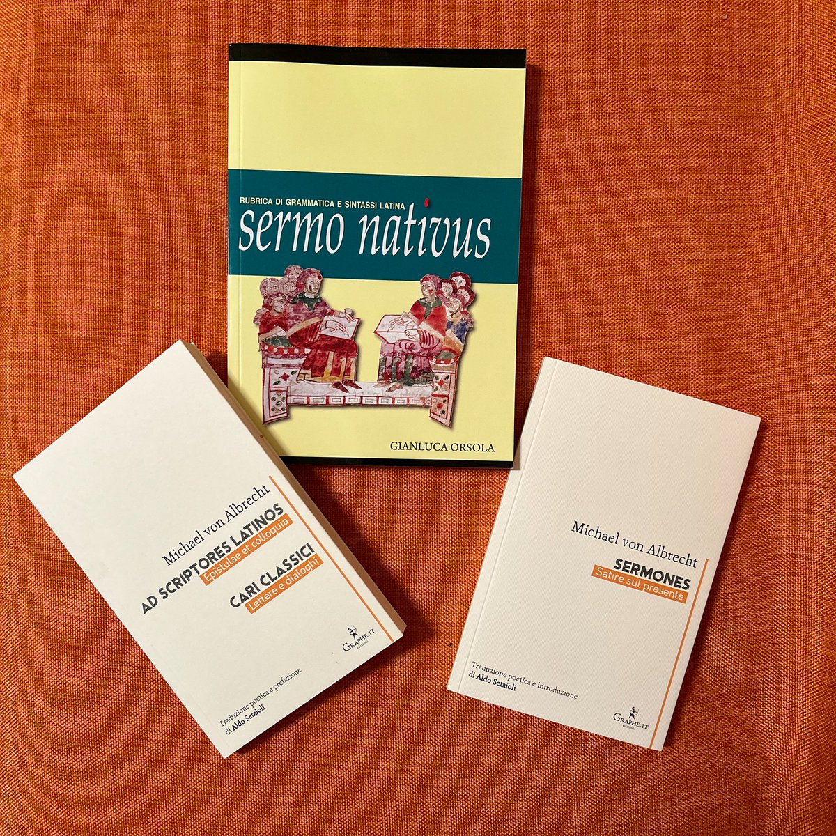 🏛️ Oggi è la Giornata Mondiale della #LinguaLatina 📚 Immergiti nella bellezza di questa lingua con le poesie di Michael von Albrecht, tradotte da Aldo Setaioli. E se vuoi rinfrescare grammatica e sintassi, 'Sermo nativus' di Gianluca Orsola è ciò che fa per te! #CulturaClassica