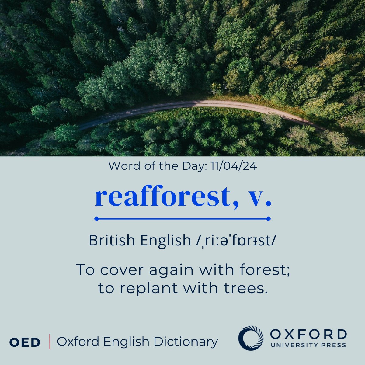 OED #WordOfTheDay: reafforest, v. To cover again with forest; to replant with trees. View the OED entry: oxford.ly/3vFw3y3