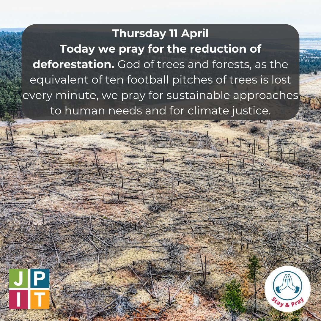 Today we pray for the reduction of deforestation. God of trees and forests, as the equivalent of ten football pitches of trees is lost every minute, we pray for sustainable approaches to human needs and for climate justice. #StayandPray Read more: theguardian.com/environment/20…