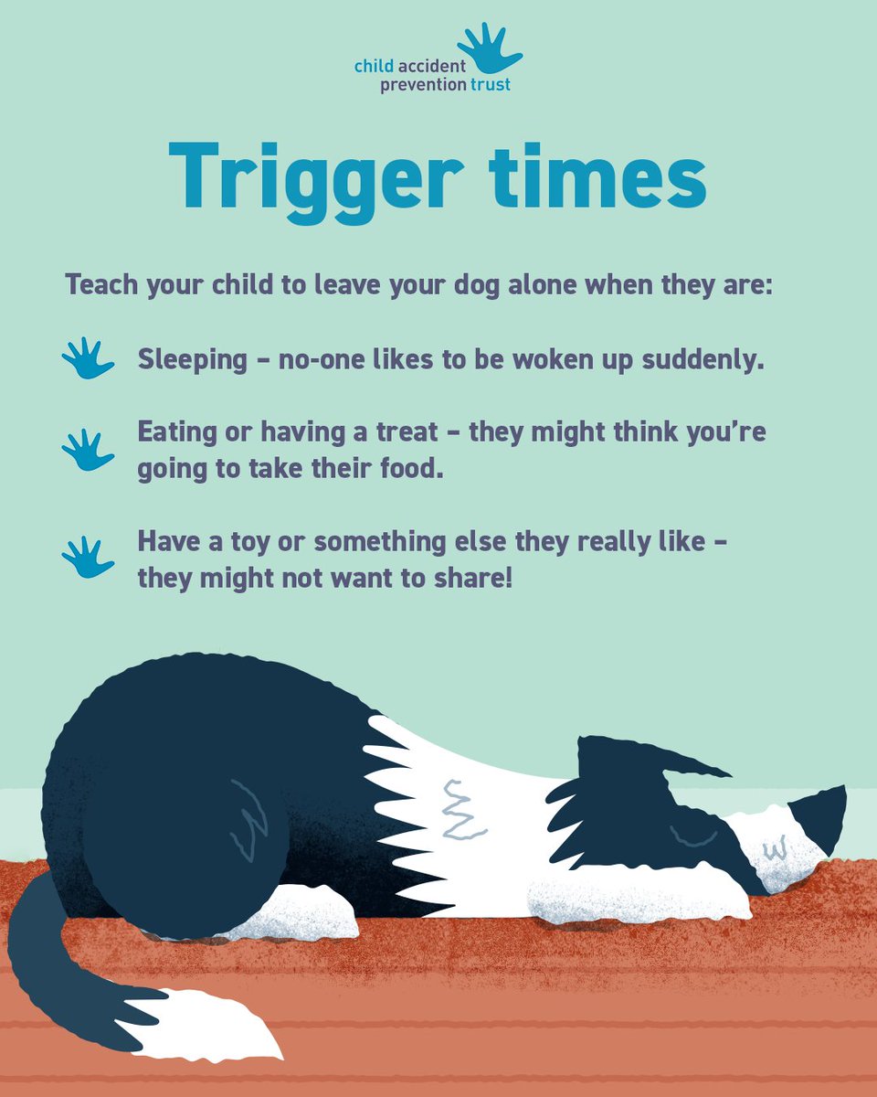 While we don’t expect our own dog to bite, it’s important to remember any dog can bite if they feel they have no other option. Download our free resources to discover more top tips to keep children and dogs safe and happy together: capt.org.uk/dogs-and-child…