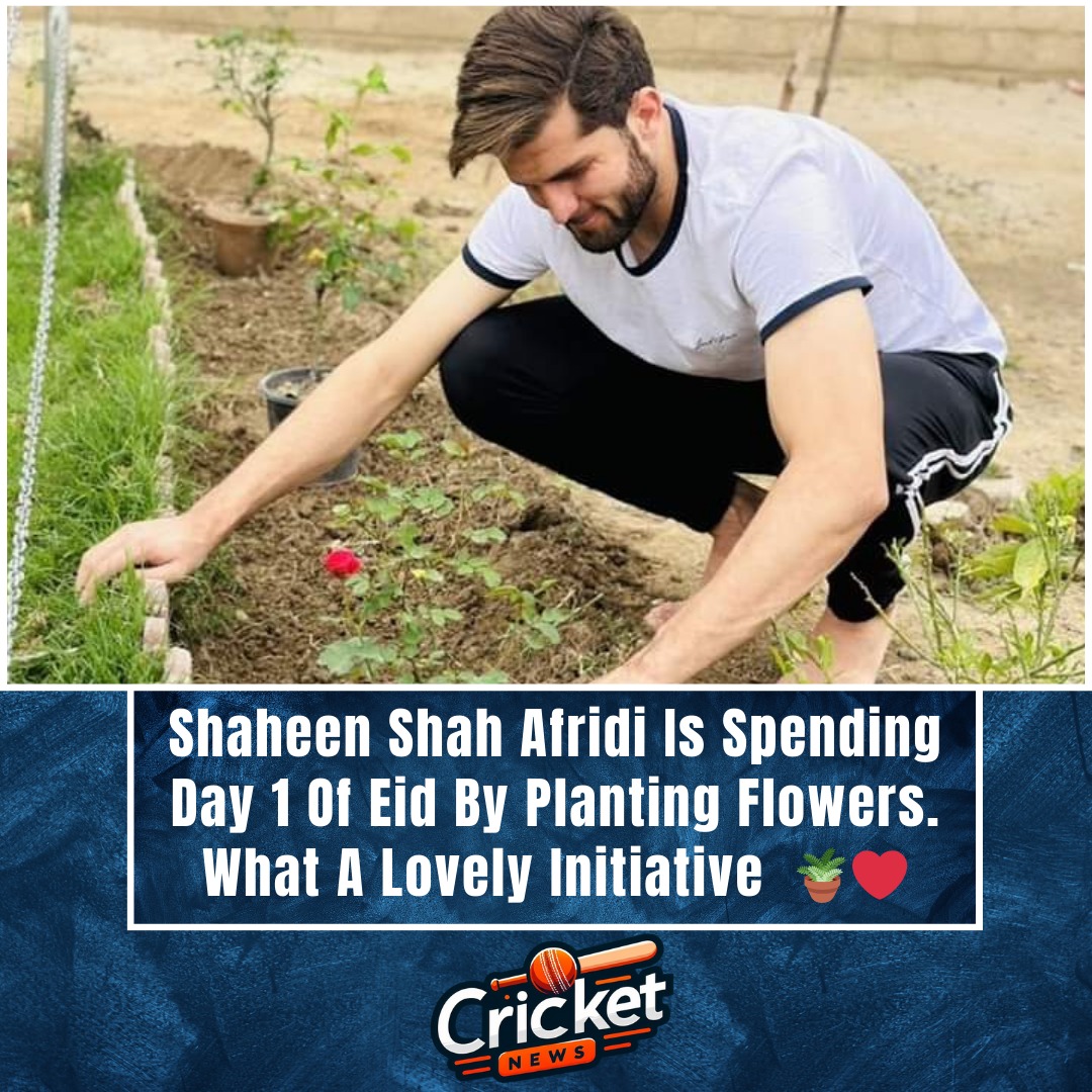 Shaheen Shah Afridi Is Spending Day 1 Of Eid By Planting Flowers. What A Lovely Initiative  🪴❤️

#ShaheenShahAfridi #cricketnews #EidAlFitr2024
