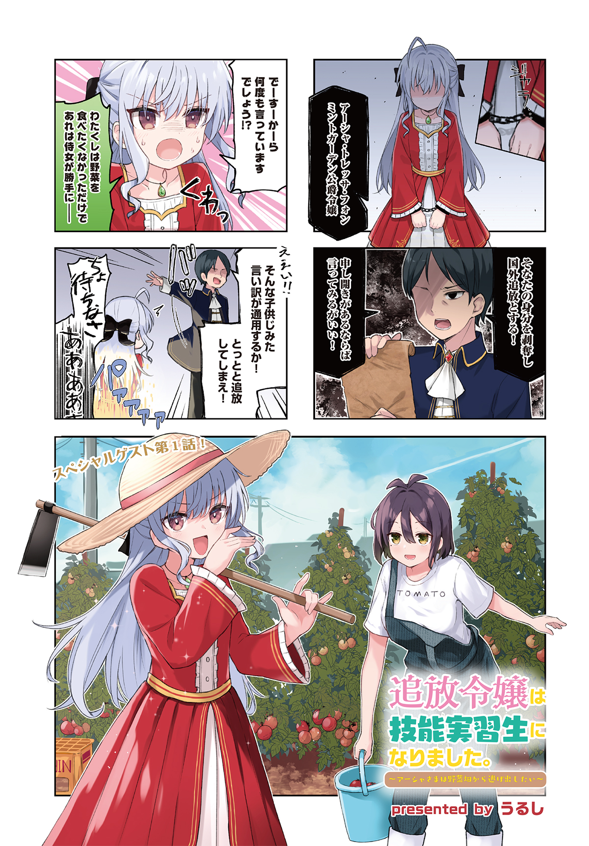 追放令嬢は技能実習生になりました。 1 　イラストサイン本 Amazon.co.jp: 追放令嬢は技能実習生になりました。 1 (まんが