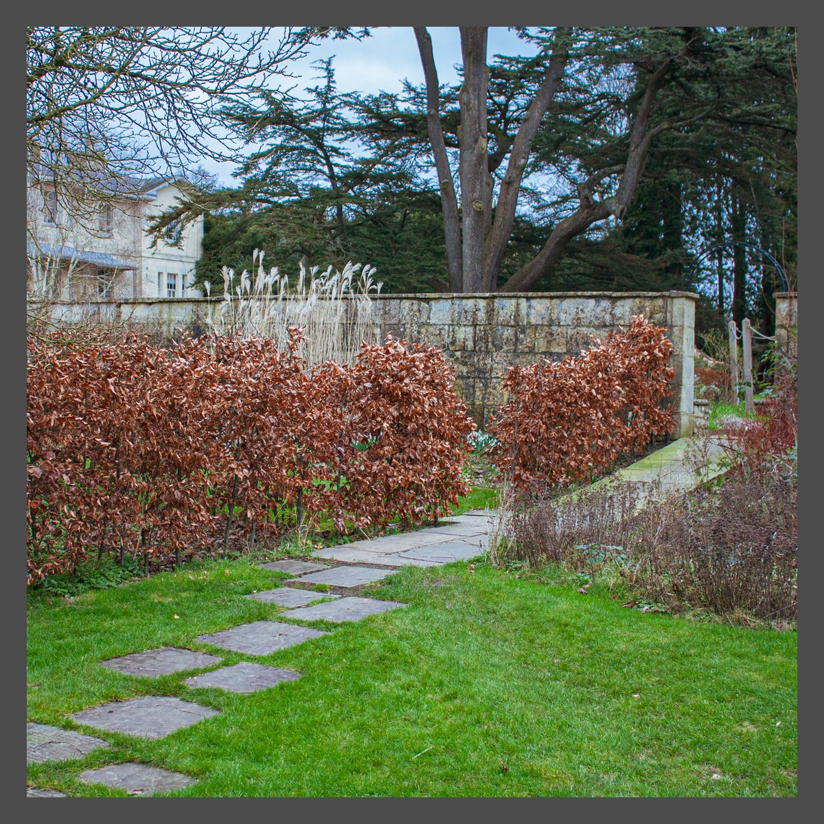 IrishAggers's tweet photo. A late winter wonderland in Bath Priory Hotel’s award-winning garden.
Photo blog post on https://t.co/ylgguaGhC8 📸
🌿✨ #HeritageGardens #WinterMagic #BathPriory #SarahAgnewPhotography #preservationlegacy https://t.co/1fu8I4FXjz