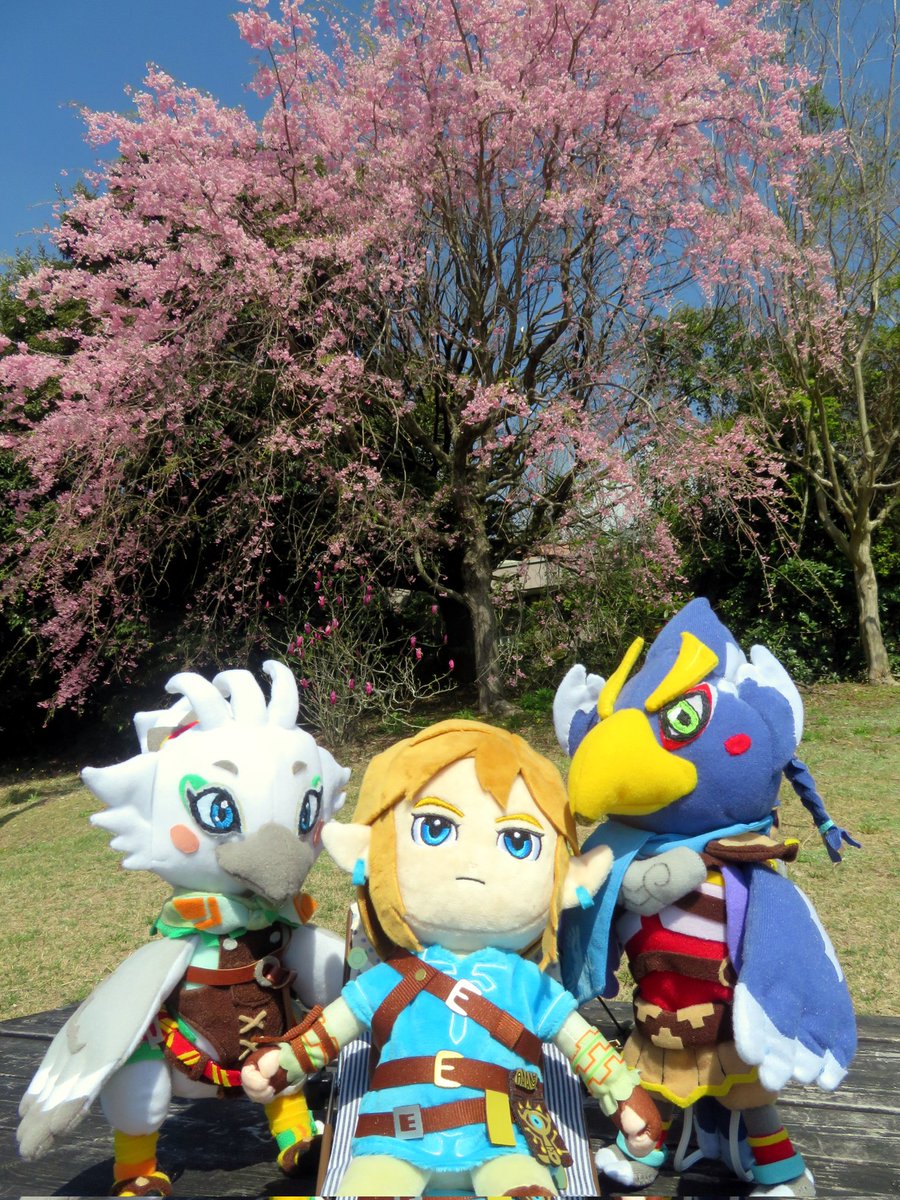 みんなで撮ってきました☺️

#ゼルダの伝説 #ティアキン #ブレワイ #TheLegendOfZelda #チューリ #リーバル #手作りぬいぐるみ