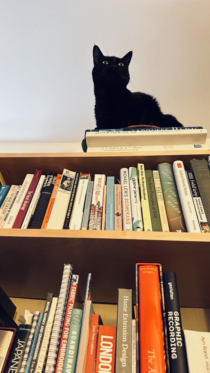 Rolf report 11 Apr: I think it’s fair to say that most of us moggies love to be high up. One of my favourite perches is in reception on top of the bookshelves. Perhaps appropriate then that one of the books just under me is entitled “Britain From The Air”. Rolf x