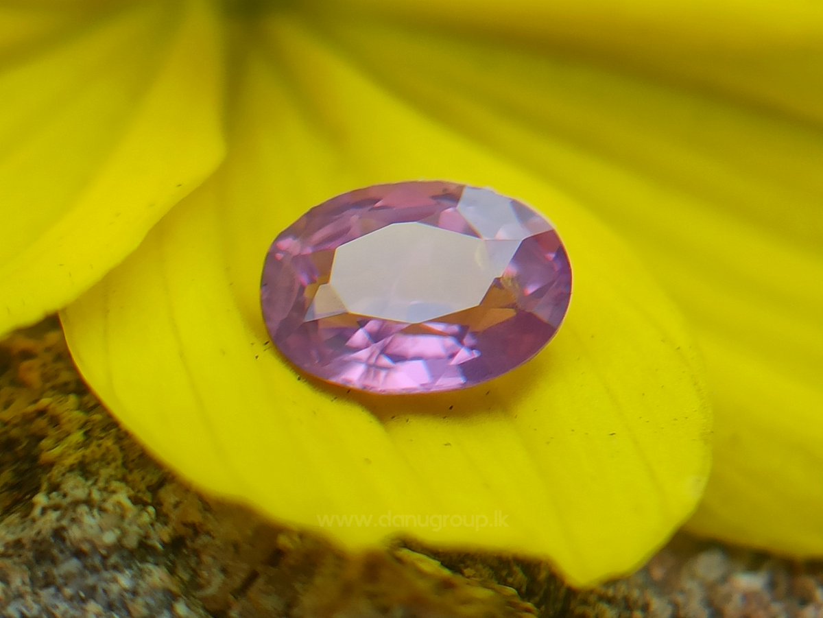 Introducing the mesmerizing Ceylon Natural Purplish Pink Sapphire! 💖 view product - danugroup.lk/product/ceylon… #ceylonsapphire #naturalsapphire #purplishpinksapphire #gemstones #jewlerydesign #ovalshape #fashion #style #gifts #giftideas