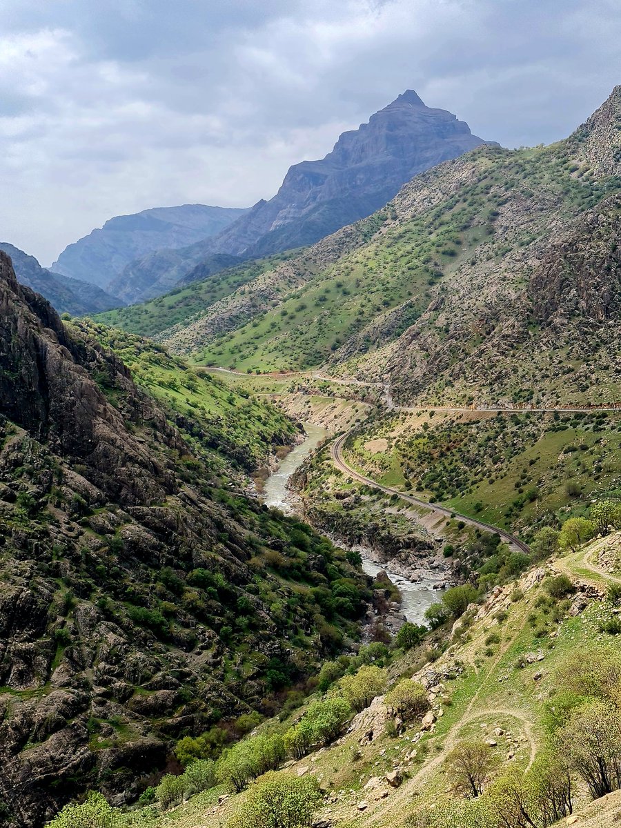 GM ☕️😎 on a trip to Cesar Valley, Lorestan, Iran.