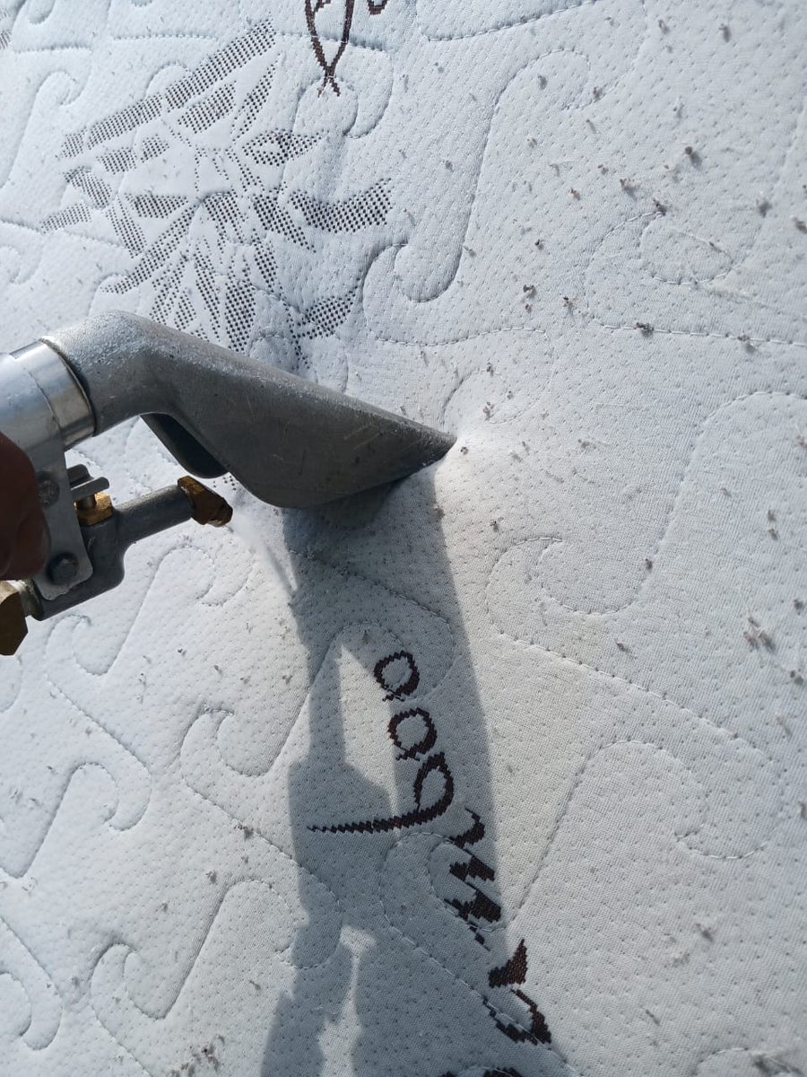 Mattress Cleaning

NO CALL OUT FEE

Mattresses, Car Valet, Carpets, Couches, Dinning &amp; Office Chairs etc... We clean it all

📍PTA, JHB &amp; Limpopo ☎️084 367 7074

Chris Brown University of INISA Cressida #RHODurban #YounginsShowmax MK Party Mabusi Tupac #podcastandchill  Amapiano