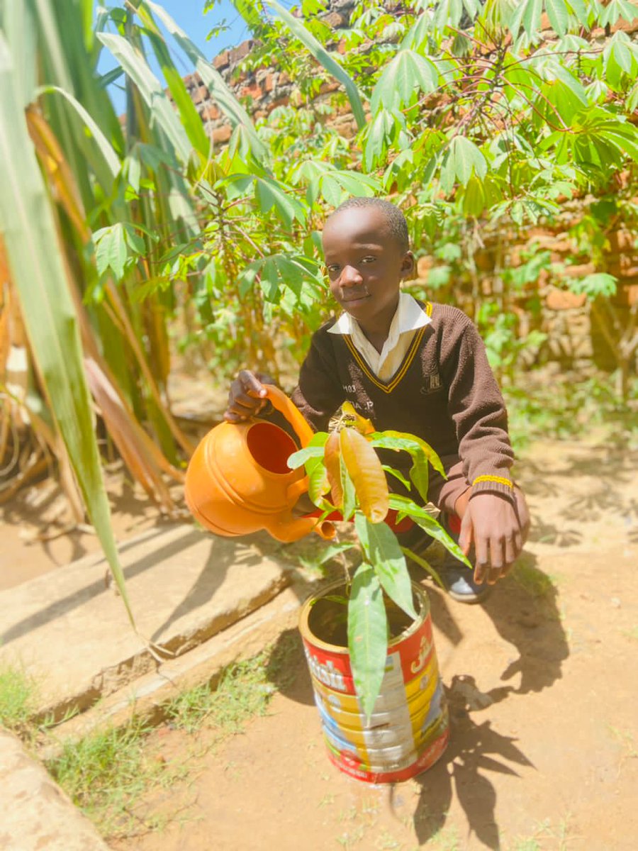 UgandaMediaCent's tweet photo. 📍ARUA: During #ClimateMobility consultations with @min_waterUg and @ACMI_Africa, Springs Nursery &amp; Primary School established a new Climate Change, Environment &amp; Mobility Club educating students, teachers &amp; parents on climate change &amp; positive adaptation solutions.

COURTESY📸 https://t.co/dv1Rfqh43T